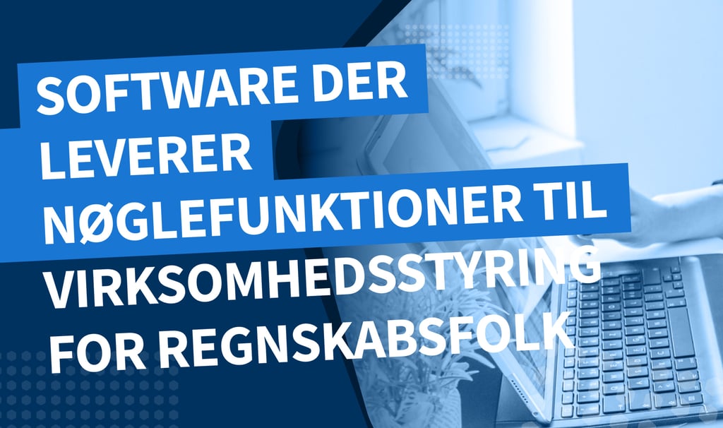 Software der leverer nøglefunktioner til virksomhedsstyring for regnskabsfolk