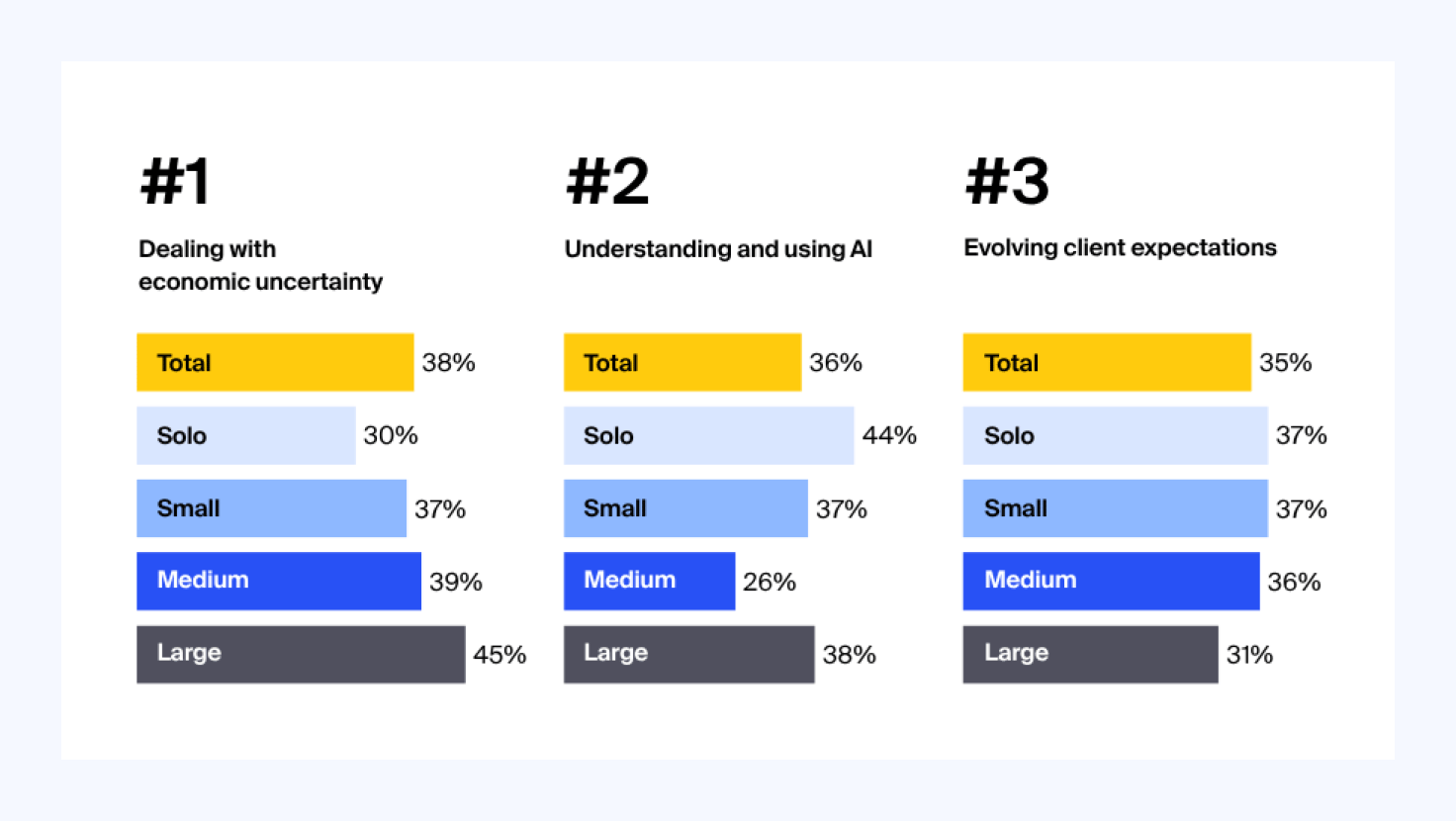 Bar charts breaking down the top accounting concerns by firm size
