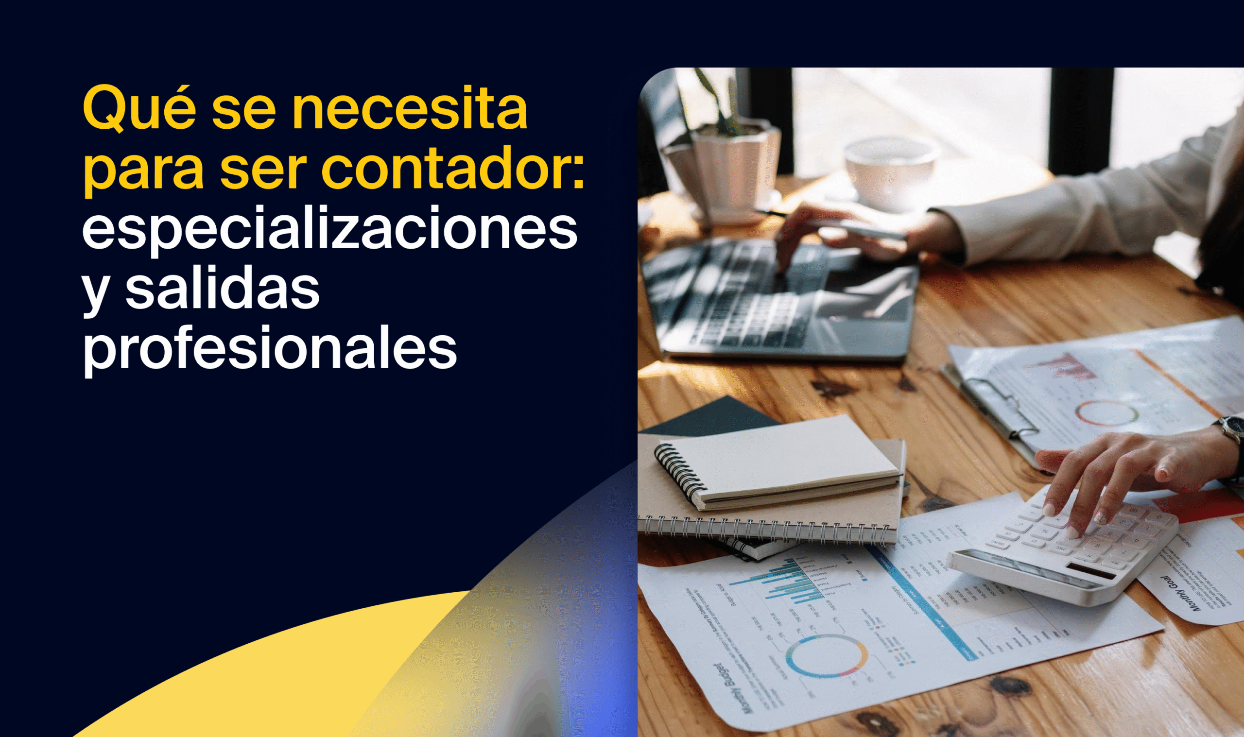 Qué se necesita para ser contador: especializaciones y salidas ...